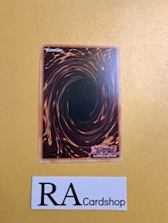 Libromancer Realized Common MP23-EN113 1st Edition 25th Anniversary Tin: Dueling Heroes Mega Pack MP23 Yu-Gi-Oh