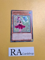 Libromancer Magigirl Common MP23-EN044 1st Edition 25th Anniversary Tin: Dueling Heroes Mega Pack MP23 Yu-Gi-Oh