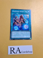 Amazoness Secret Arts Common MP23-EN225 1st Edition 25th Anniversary Tin: Dueling Heroes Mega Pack MP23 Yu-Gi-Oh