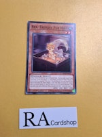 Rex, Freigh Fur Hire Common MP23-EN175 1st Edition 25th Anniversary Tin: Dueling Heroes Mega Pack MP23 Yu-Gi-Oh