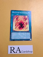 Will of the Salamangreat Common LD10-EN049 Legendary Duelists: Soulburning Volcano LD10 Yu-Gi-Oh