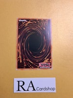 Will of the Salamangreat Common LD10-EN049 Legendary Duelists: Soulburning Volcano LD10 Yu-Gi-Oh
