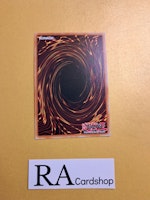 Chaos Nephthys Ultra Rare BACH-EN025 1st Edititon Battle of Chaos BACH Yu-Gi-Oh