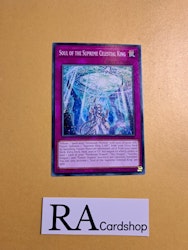 Soul of the Supreme Celestial King Common AGOV-EN069 1st Edition Age of Overlord 2020 AGOV Yu-Gi-Oh