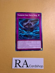 Vanquish Soul Snow Devil Common AGOV-EN078 1st Edition Age of Overlord 2020 AGOV Yu-Gi-Oh