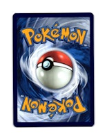 Haxorus Holo Rare 046/064 Shrouded Fable Pokemon