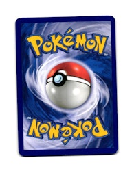 Mudkip Common 116/147 Supreme Victors Pokemon