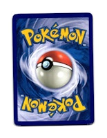 Forrtress Common 61/111 Rising Rivals Pokemon