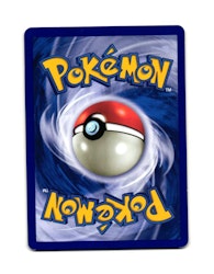 Shellos Common 79/111 Rising Rivals Pokemon