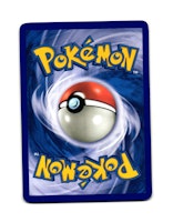 Nuzleaf Common 75/111 Rising Rivals Pokemon