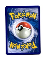Seedot Common 78/111 Rising Rivals Pokemon