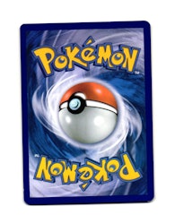 Makuhita Common 51/111 Furious Fist Pokemon