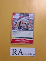 Whitebeard Pirates Uncommon OP02-022 Paramount War One Piece Card Game