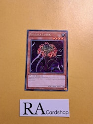 Ibicella Lutea Rare VASM-EN052 1st Edition Valiant Smashers VASM Yu-Gi-Oh