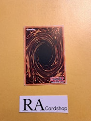 White Reincarnation Common PHNI-EN058 1st Edititon Phantom Nightmare PHNI Yu-Gi-Oh