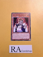 Royal Rhino With Deceitful Dice Common PHNI-EN036 1st Edititon Phantom Nightmare PHNI Yu-Gi-Oh