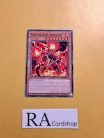 Magmacho Dragon Common PHNI-EN025 1st Edititon Phantom Nightmare PHNI Yu-Gi-Oh