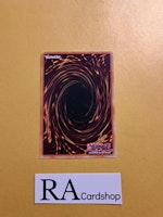 Share the Pain Common SBTK-EN032 1st Edititon Speed Duel: Trials of the Kingdom SBTK Yu-Gi-Oh