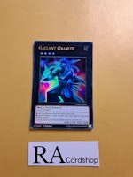 Gallant Granite Ultra Rare CHIM-EN036 1st Edition Chaos Impact CHIM Yu-Gi-Oh