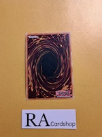 Gallant Granite Ultra Rare CHIM-EN036 1st Edition Chaos Impact CHIM Yu-Gi-Oh
