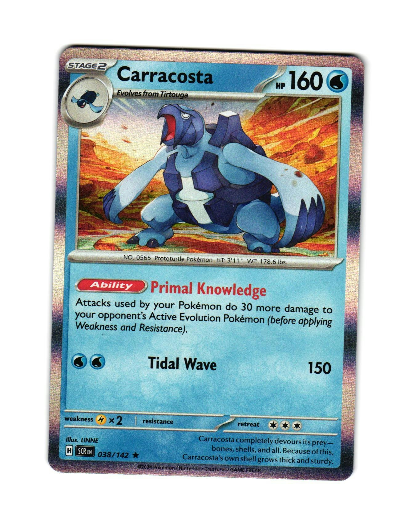 Carracosta Holo Rare 038/142 Stellar Crown Pokemon