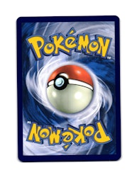 Tirtouga Common 037/142 Stellar Crown Pokemon