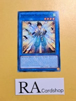 Shinobaron Shade Peacock Common AGOV-EN029 1st Edition Age of Overlord 2020 AGOV Yu-Gi-Oh