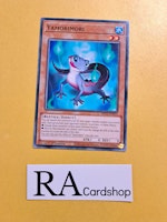 Yamorimori Common MP22-EN073 1st Edition Tin of the Pharaohs Gods 2022 MP22 Yu-Gi-Oh