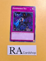 Expendable Dai Common MP22-EN108 1st Edition Tin of the Pharaohs Gods 2022 MP22 Yu-Gi-Oh