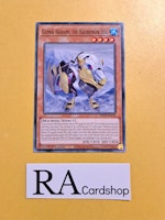 Gizmek Arakami The Hailbringer Hog Common MP22-EN133 1st Edition Tin of the Pharaohs Gods 2022 MP22 Yu-Gi-Oh