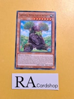 Carpiponica Mystical Beast of the Forest Common MP22-EN134 1st Edition Tin of the Pharaohs Gods 2022 MP22 Yu-Gi-Oh