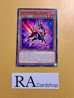 Salamangreat Gazelle Common LD10-EN008 Legendary Duelists: Soulburning Volcano LD10 Yu-Gi-Oh