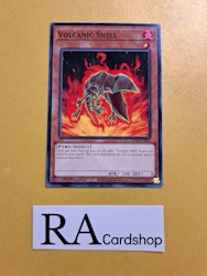 Volcanic Shell Common LD10-EN025 Legendary Duelists: Soulburning Volcano LD10 Yu-Gi-Oh