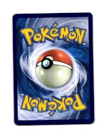 Surfer Uncommon 187/191 Surging Sparks Pokemon