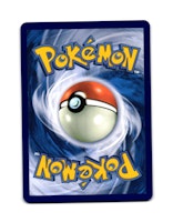 Alolan Diglett Common 122/191 Surging Sparks Pokemon