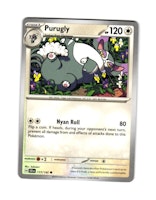 Purugly Common 117/142 Stellar Crown Pokemon