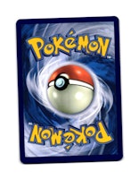 Nymble Common 015/142 Stellar Crown Pokemon