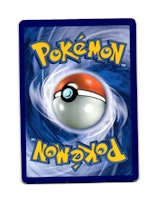 Pumpkaboo Common 44/119 Phantom Forces Pokemon