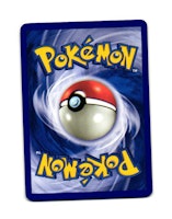 Farfetchd Lv.26 Uncommon 49/132 Secret Wonders Pokemon