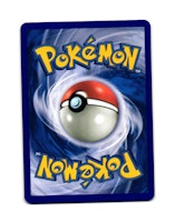 Phanpy Lv.14 Common 98/132 Secret Wonders Pokemon