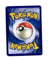 Shuckle Lv.25 Common 109/132 Secret Wonders Pokemon