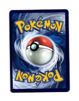 Sharpedo Holo Rare 82/149 Sun & Moon Pokemon