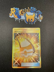 Adventure Bag Secret Rare  228/214 Lost Thunder Pokemon