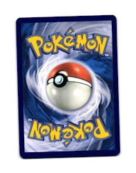 Squawkabilly Reverse Holo Common 141/159 Journey Together Pokemon