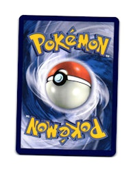 Accelgor Reverse Holo Uncommon 013/159 Journey Together Pokemon