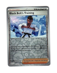 Black Belts Training Reverse Holo Common 145/159 Journey Together Pokemon