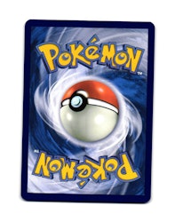 Black Belts Training Reverse Holo Common 145/159 Journey Together Pokemon
