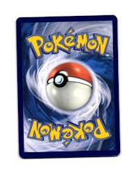 Torkoal Reverse Holo Common 025/159 Journey Together Pokemon