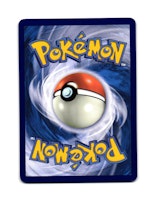 Squawkabilly Common 141/159 Journey Together Pokemon