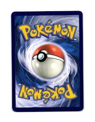 Squawkabilly Common 141/159 Journey Together Pokemon